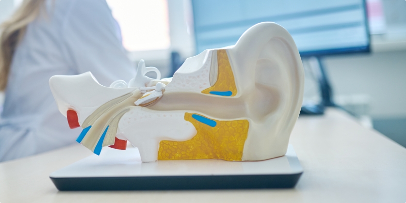 Trailview Audiology Blog